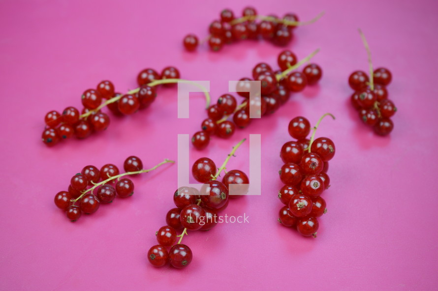 grapes on a pink background 