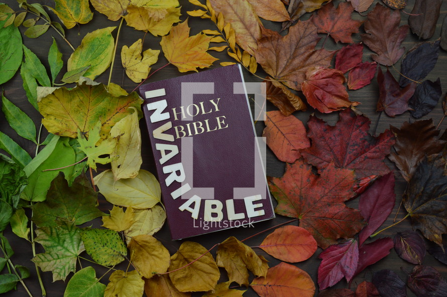 Holy Bible surrounded by fall leaves - 
colorful changeable autumn leaves in color gradient on brown wood with a bible in the middle and the word INVARIABLE on it