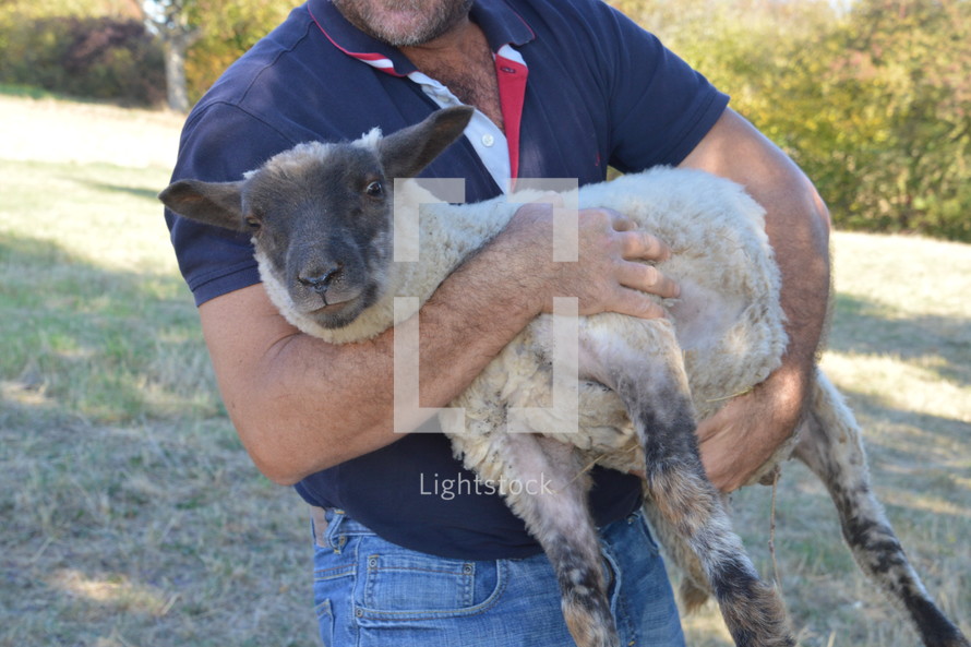 a man carrying a sheep