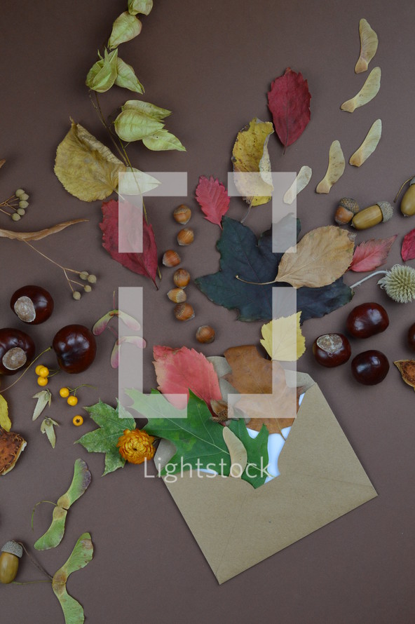 envelope with leaves and acorns 