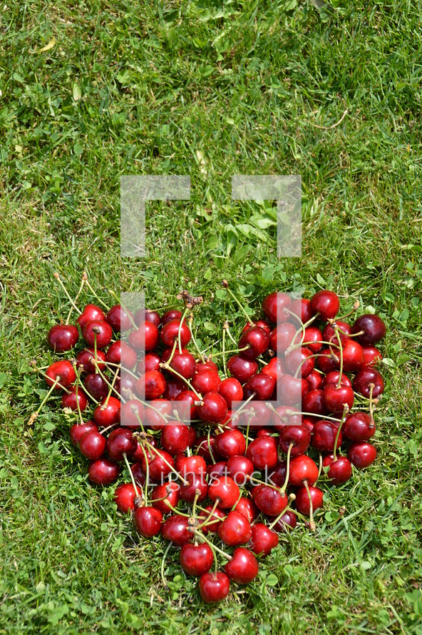 My sweetheart - Fresh cherries in a heart shape in the grass.