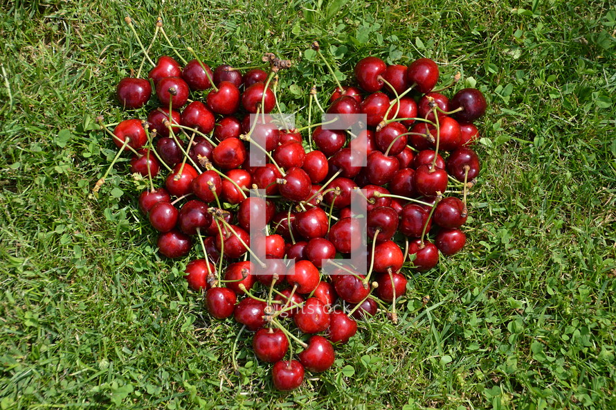 Fresh cherries in a heart shape in the grass.
