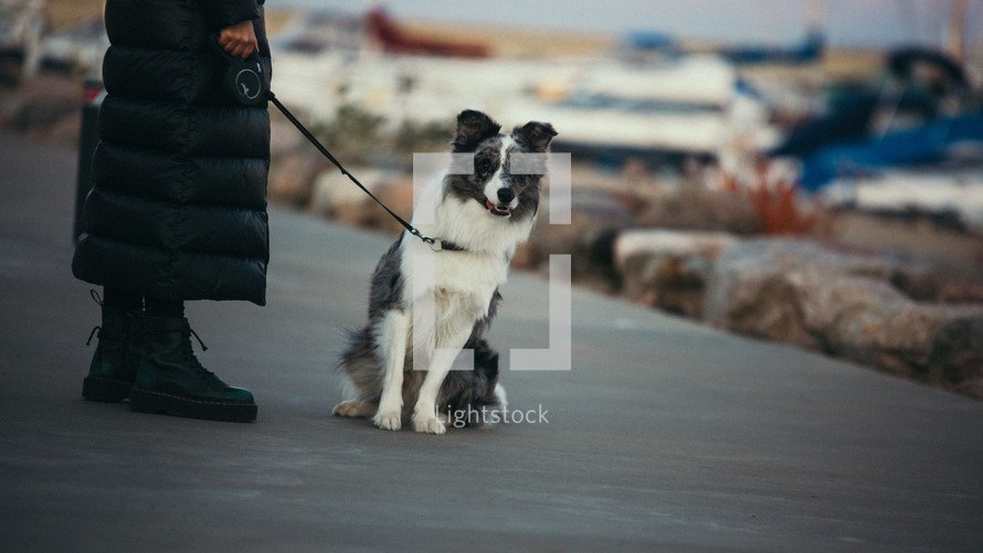 Woman in heavy coat walking her dog