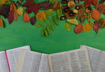 open Bibles and fall leaves