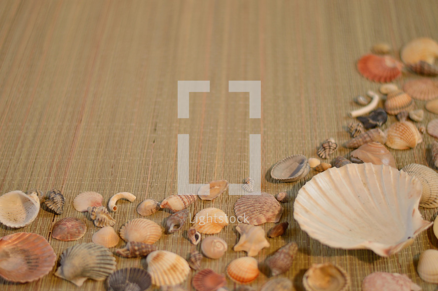 seashell border on a straw mat