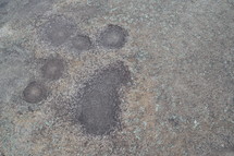 spots on a rock surface 
