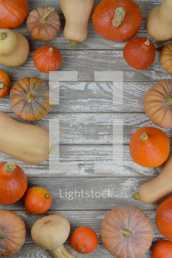 flat lay of different kinds of pumpkins and gourds on raw gray wood planks