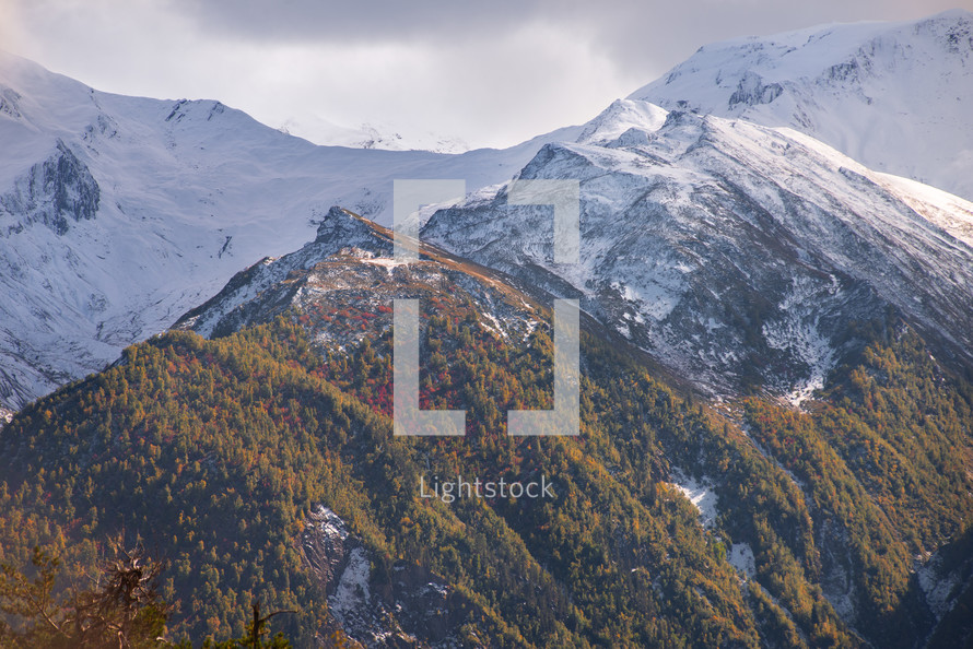 Autumn colors and a snowy mountain range