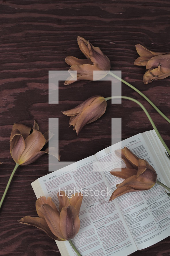 flowers and open Bible on a wood table 