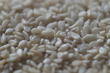 sesame seeds up close, 
sesame, seeds, lot, plenty, grow, growing, growth, plant, plants, food, eat, eating, sowing, pip, kernel, pit, sow, close, close up, little, big, fertile, prolific, breedy