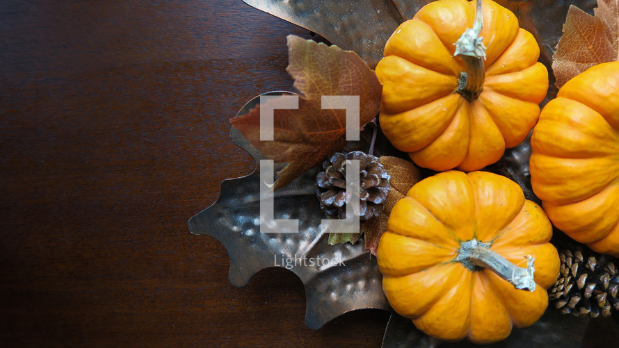pumpkins and pine cones on a wood background 