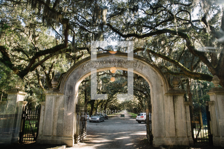 arched entrance and Spanish moss on trees 