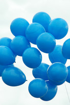 blue helium balloons 