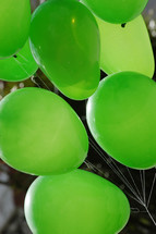 green helium balloons 