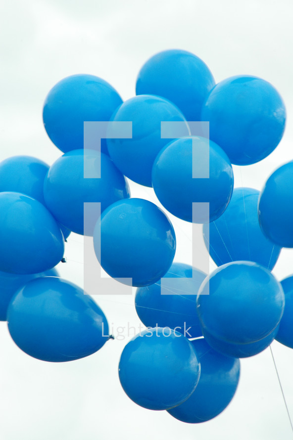 blue helium balloons 