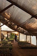 A greenhouse in Malawi, Africa. 