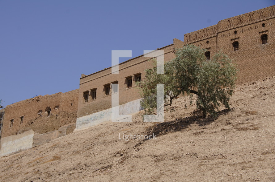 Desert city fortified walls.