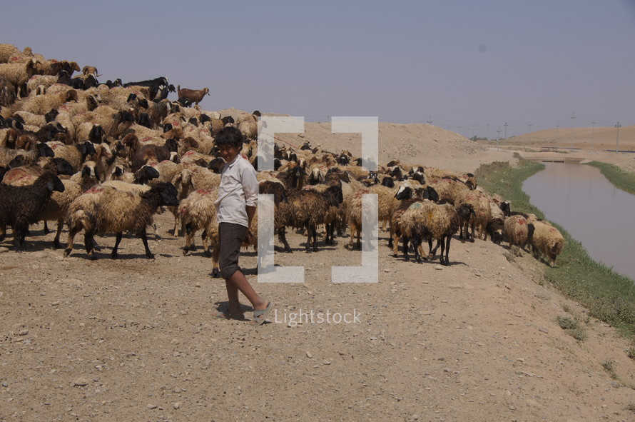 Shepherd boy in sandy desert by an oasis