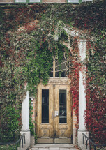 ivy over a doorway 