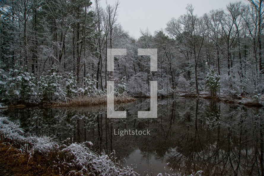 Pond in winter, Piedmont of North Carolina.