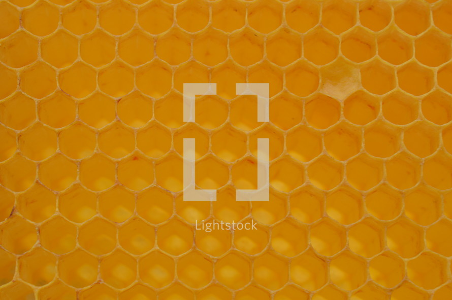 honeycomb background 