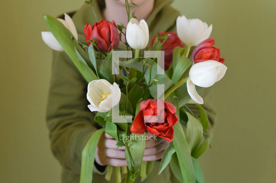 Little child offering his (a little bit disarranged) bouquet of red and white tulips.
