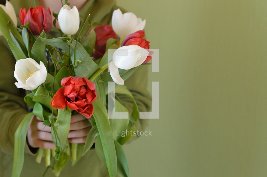 Little child offering his (a little bit disarranged) bouquet of red and white tulips.