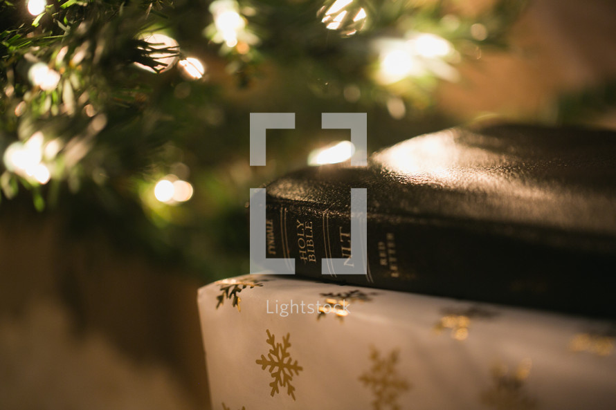 gifts and a Bible under a Christmas tree 