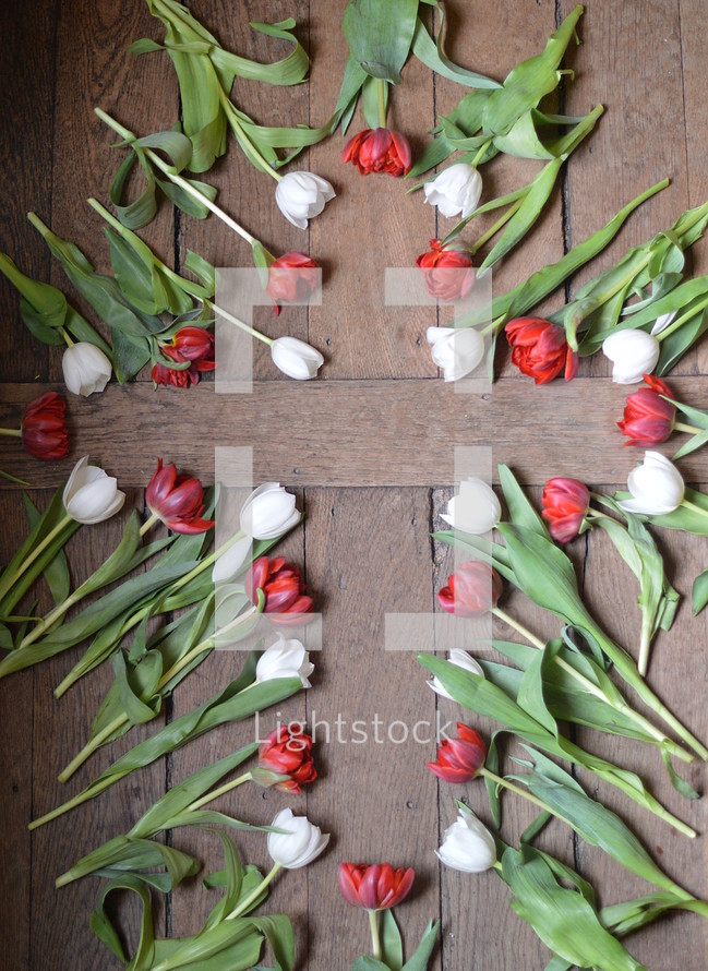white and red tulips forming the shape of a cross