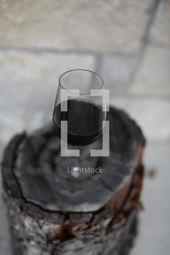 wine glass on a tree stump 