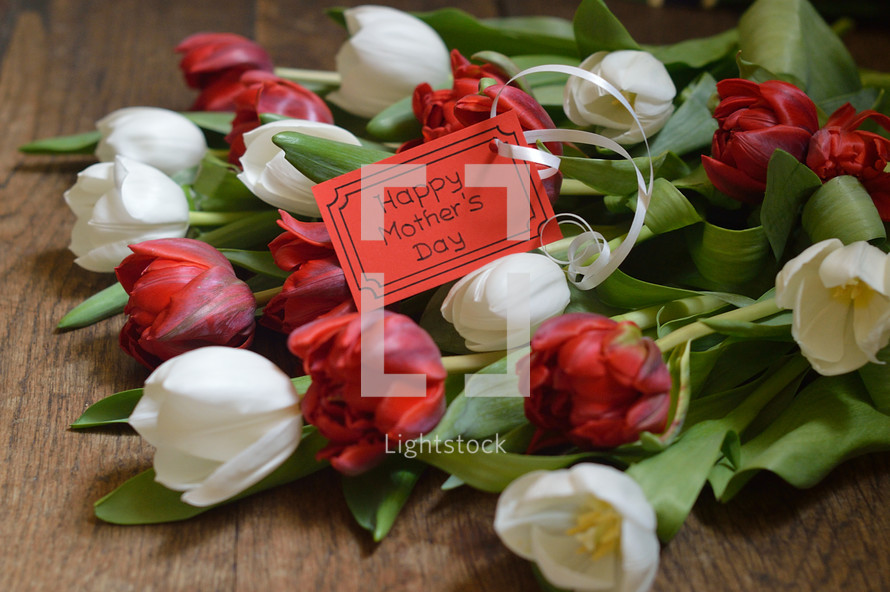 Happy Mother's Day card with a bouquet of red and white tulips for Mothers day 