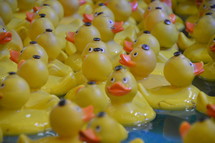 a lot of bath ducks swimming in a basin