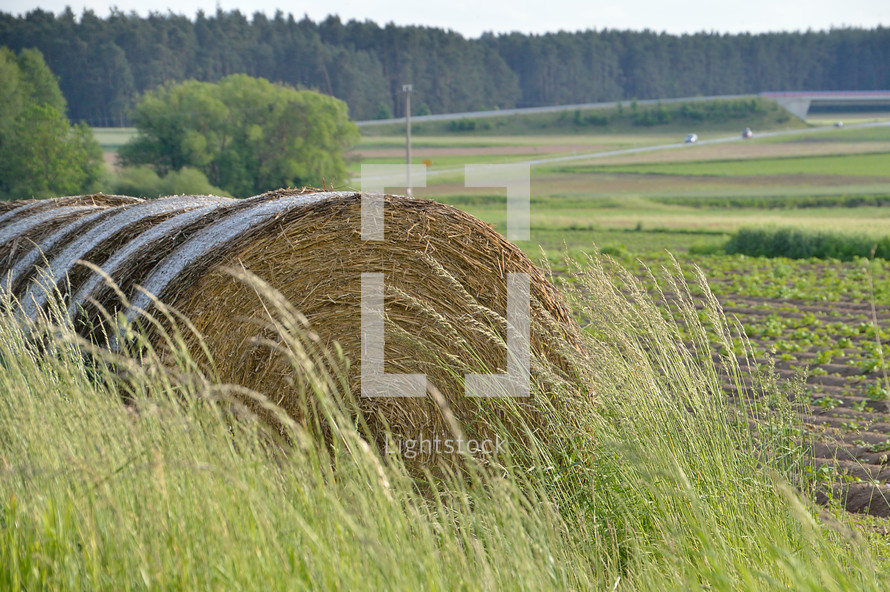 hay bale in a field 