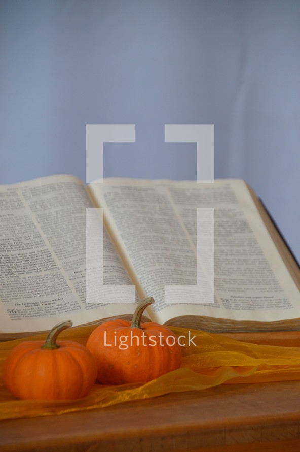 open Bible and mini pumpkins on altar