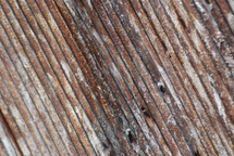 rusted metal texture 