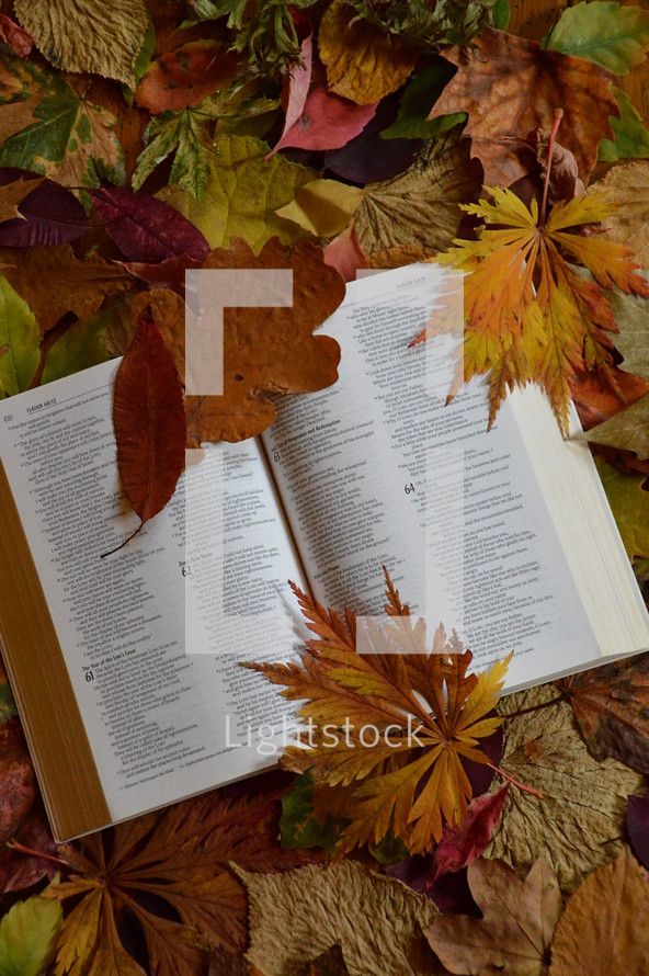 bible open at Isaiah 64 between colorful autumn leaves. 