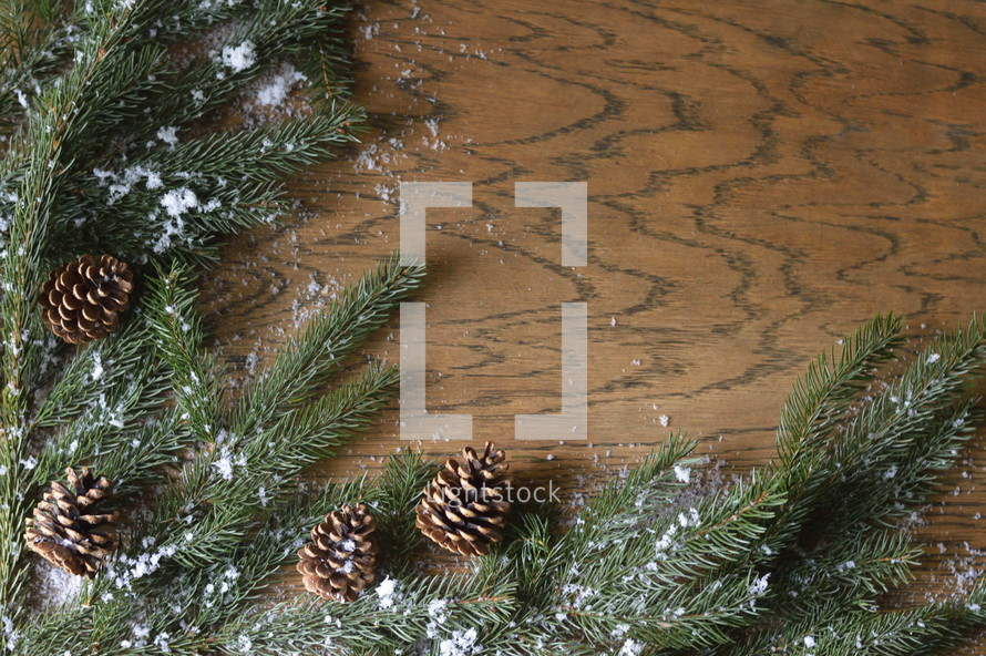 pine cones, snow, and pine boughs on a wooden  background 