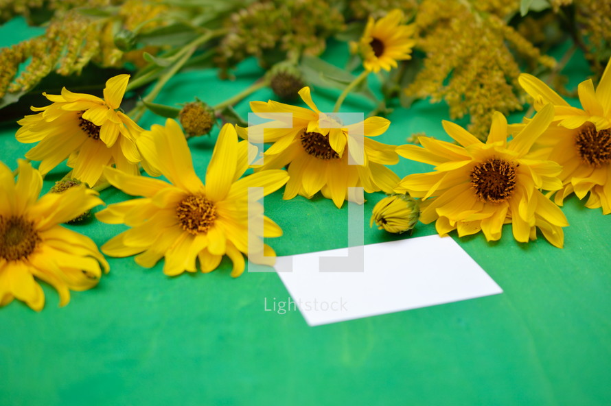 yellow flowers and a blank piece of white paper 