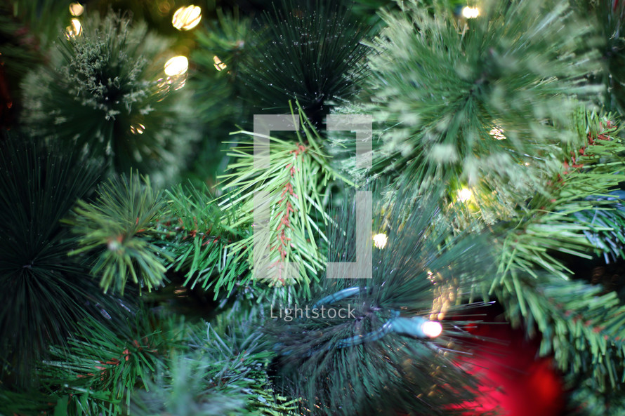 a close up of Christmas tree branches and lights