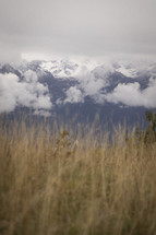 Dry grass field in front of snowy mountains and clouds
