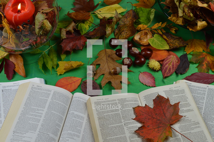 open Bibles and fall leaves 