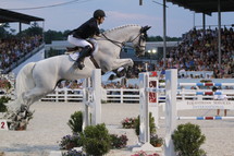 horse jumping in an equestrian show