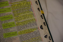 Marked and highlighted Bible scriptures from Nehemiah 