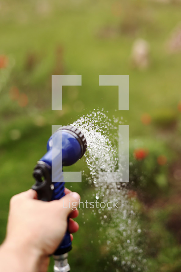 Gardener's hand holds a hose with a sprayer and watered the plants in the garden