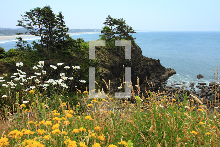 Wildflowers with rocks and trees on a hillside overlooking the ocean on a clear blue day.