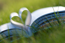 Book pages forming a heart in the grass.