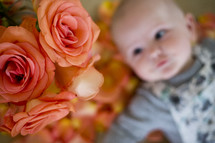 roses and an infant boy 