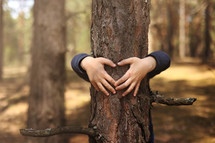 Child hug a tree in forest. Concept of global problem of carbon dioxide and global warming.Child's hands making a heart shape on a tree trunk. Love of nature. Hands around the trunk of a tree