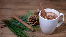 cinnamon stick in hot cocoa 