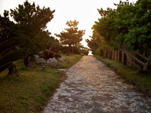 stone pathway 